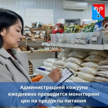 Администрацией МР "Кызылский кожуун" при содействии администраций сельских поселений и пгт. Каа-Хем ежедневно проводится мониторинг цен на социально- значимые продовольственные товары (установленные Правительством РФ) по торговым точкам. 